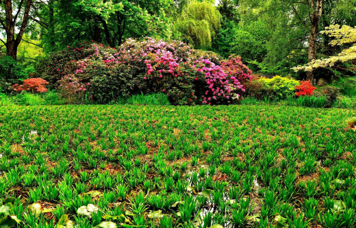 1154197 (a): :2500x1600